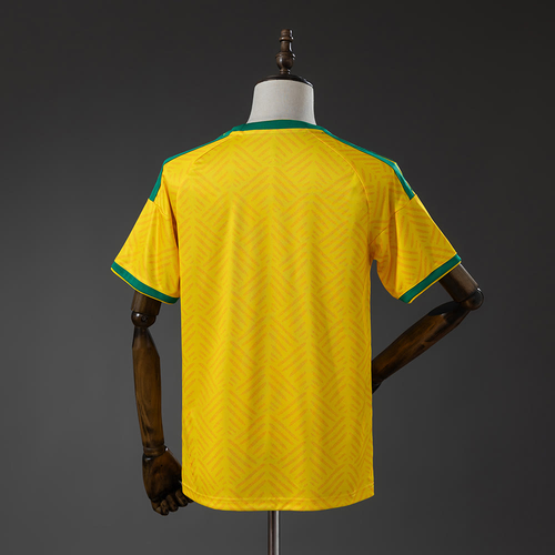Maillot Afrique du Sud 2026 - Version Domicile